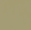 Goldspeck