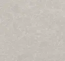 Mica