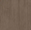 Plank 02