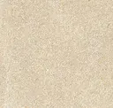 Cotone