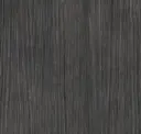 Plank 06