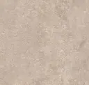 Cookie