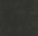 Carbon