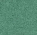 Focussm68234