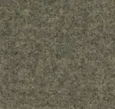 Focussm61241