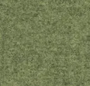 Focussm68245