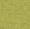 Focussm68244
