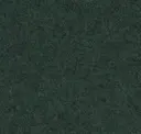 Focussm68249
