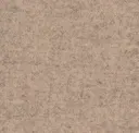 Focussm64245