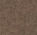 Focussm61235