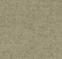 Focussm61240