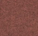 Focussm64243