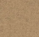 Focussm61239