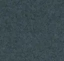 Focussm60308