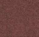 Focussm64244