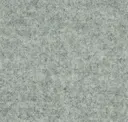 Focussm60310