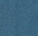 Focussm66222