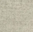 Focussm60309
