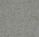 Focussm66209