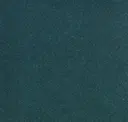 Petrol