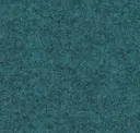 Focussm66220