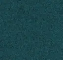 Focussm66210