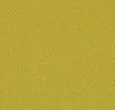 Light Olive