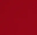 Rhubarb Red
