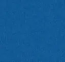 Focuss66023