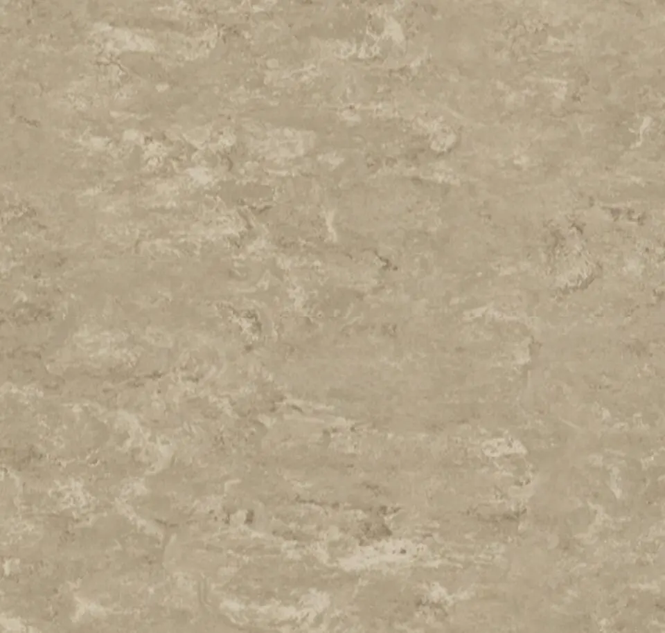 Main