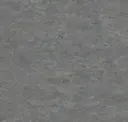 14172673