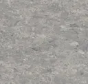 14172702