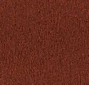 710495041