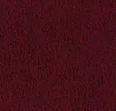 710495043