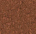 710495028
