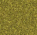 710495002