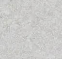 3390604