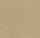 61172