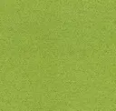 68196