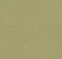 68261