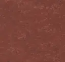 14172945
