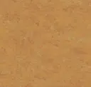 14172636