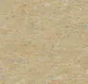 14172616
