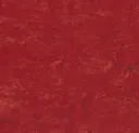 14172645