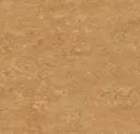 14172634