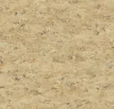 14172679