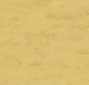 14172612