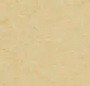 14172619