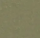 14172757