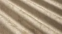 Biscuit
